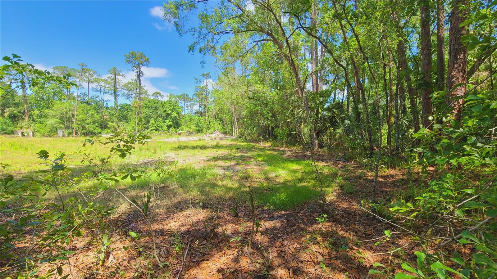 1013 CUPID AVE, CHRISTMAS, FL, 32709