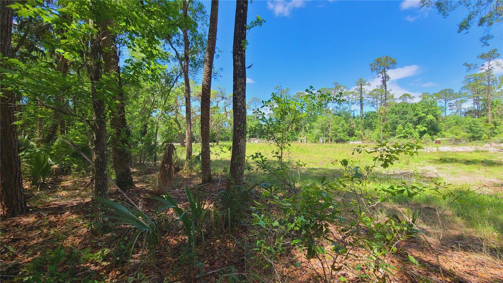 1013 CUPID AVE, CHRISTMAS, FL, 32709