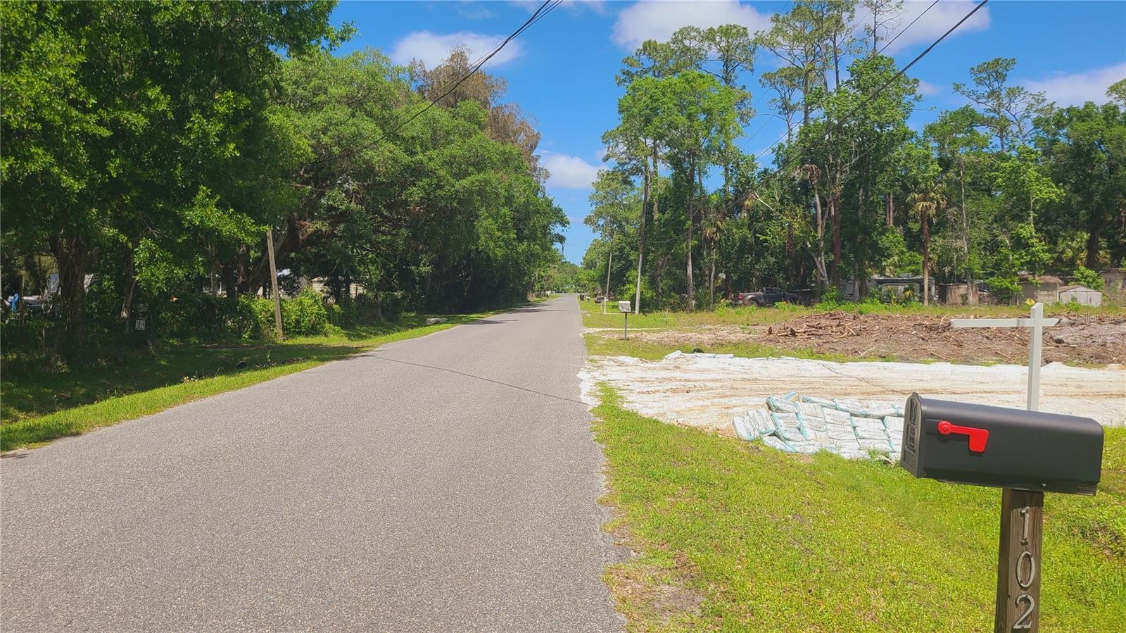 1013 CUPID AVE, CHRISTMAS, FL, 32709