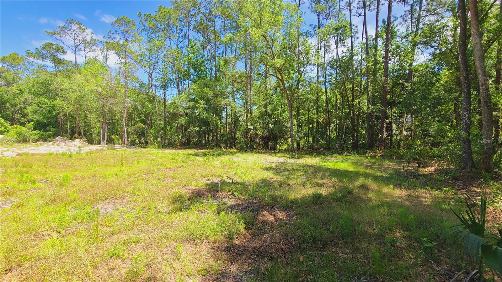1013 CUPID AVE, CHRISTMAS, FL, 32709