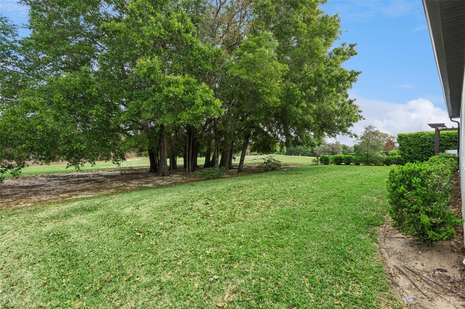 1055 ROCK CREEK ST, APOPKA, FL, 32712