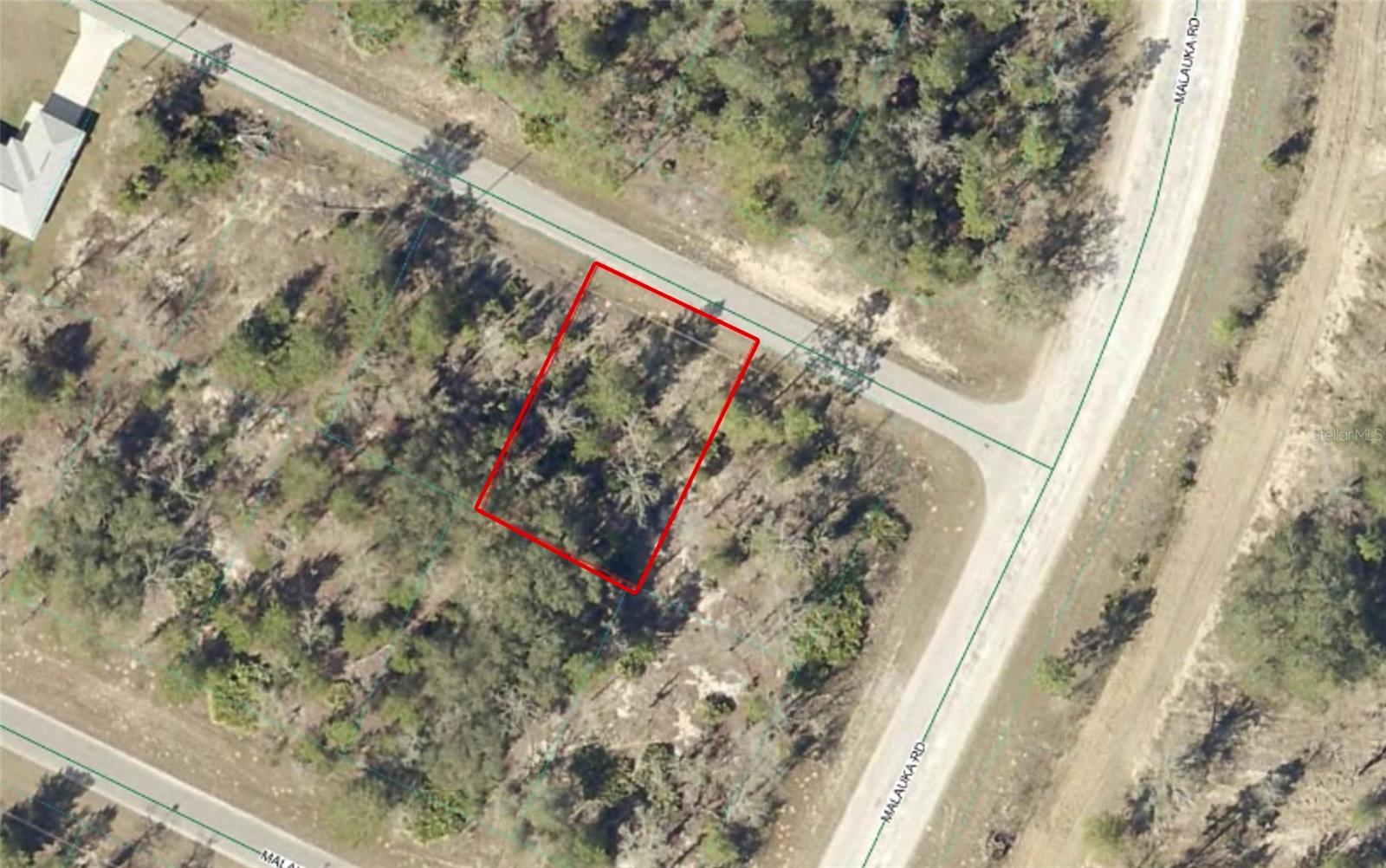 TBD MALAUKA DR, OCKLAWAHA, FL, 32179