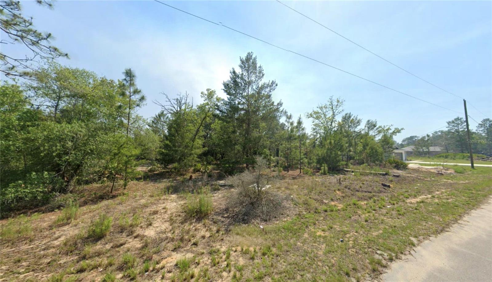 TBD MALAUKA DR, OCKLAWAHA, FL, 32179