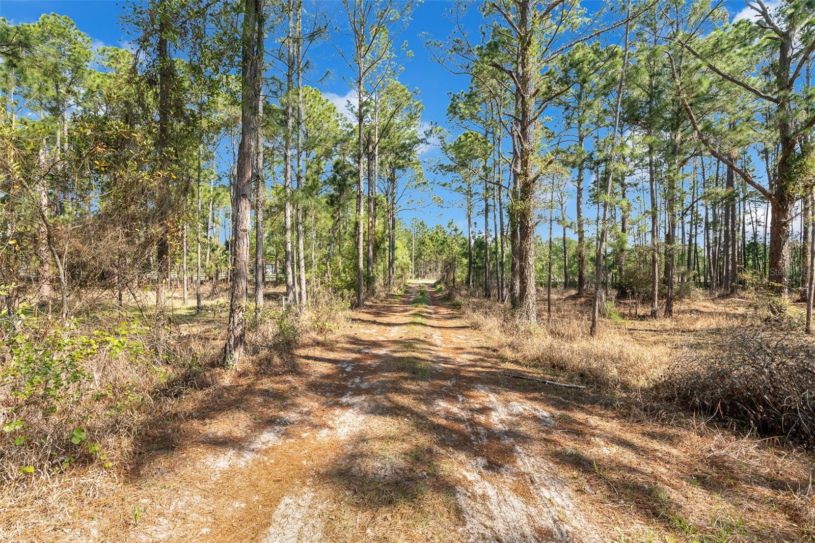 32404 HIGHLAND LAKES RD, DELAND, FL, 32720