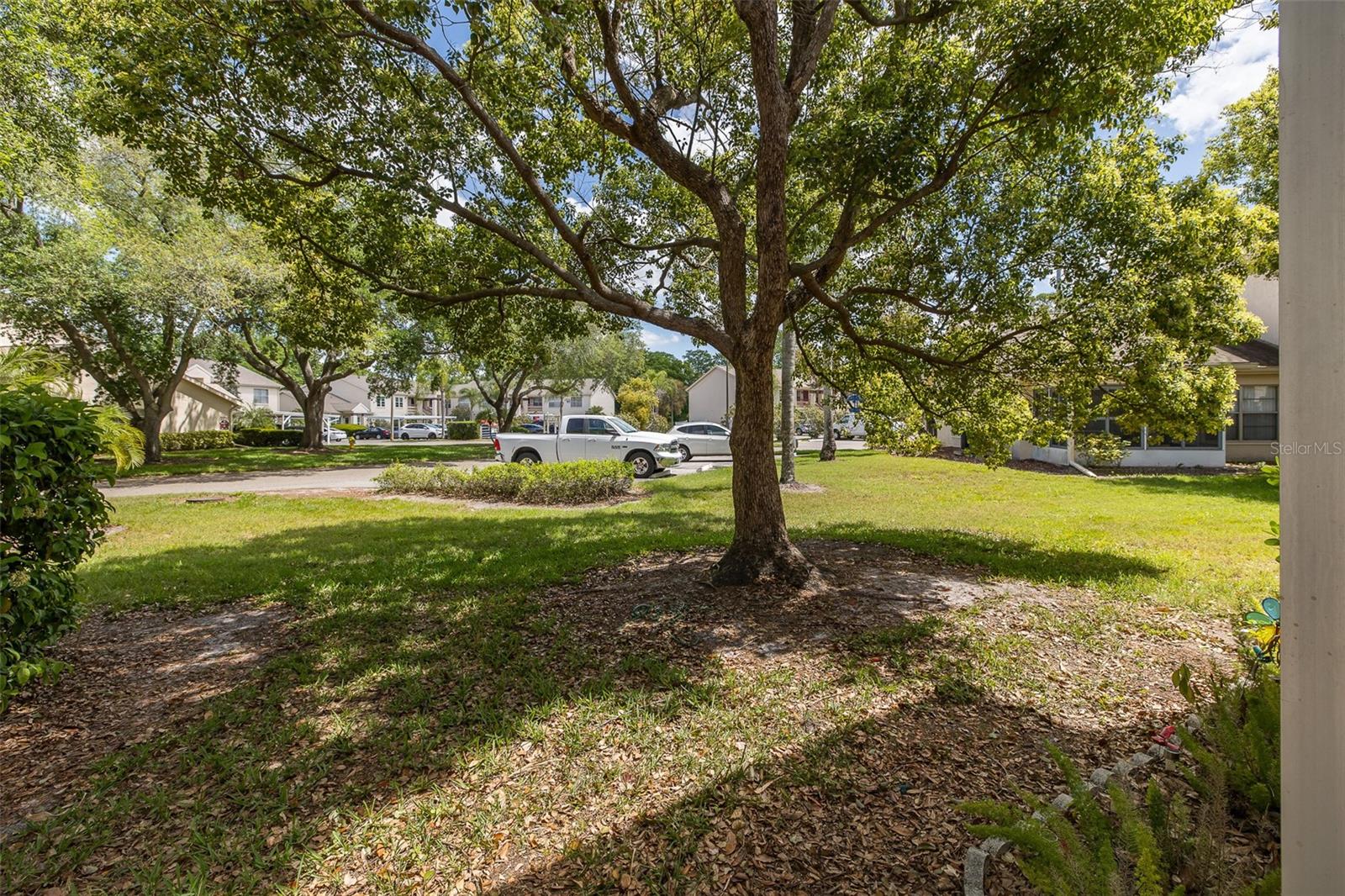 7900 HARDWICK DR #815, NEW PORT RICHEY, FL, 34653