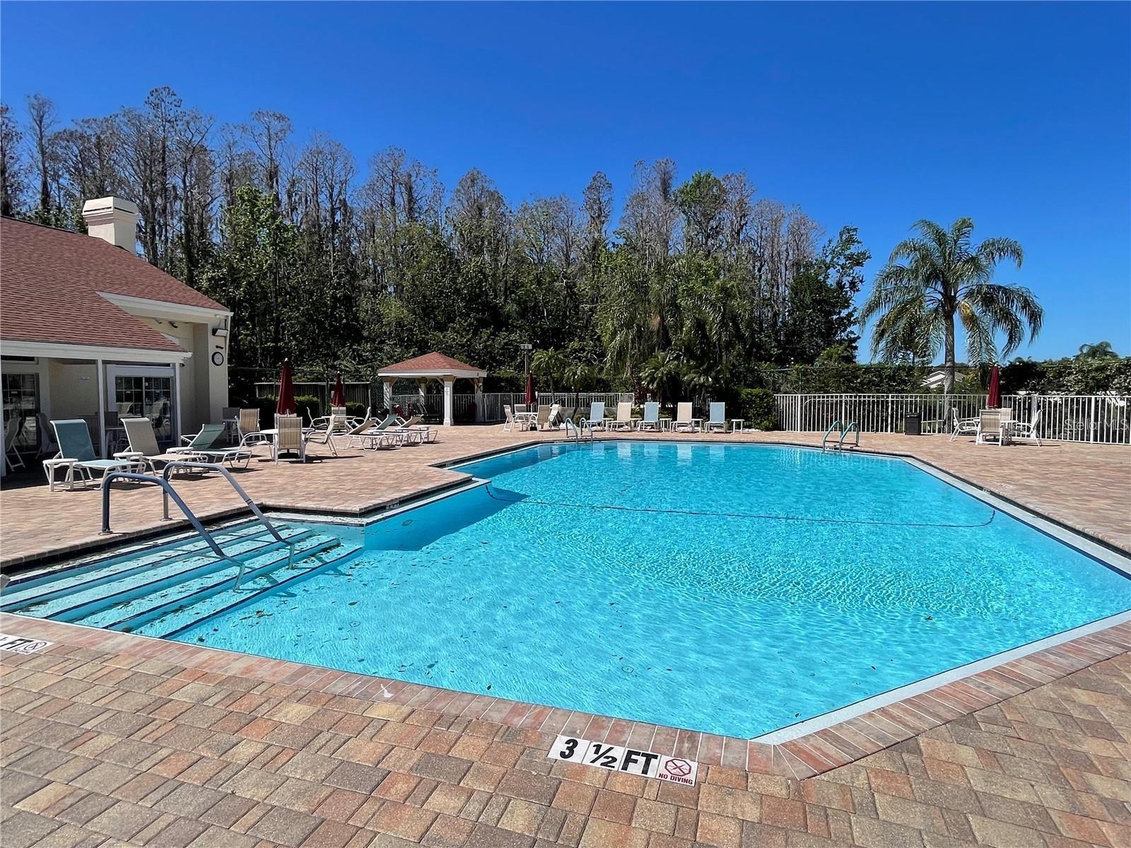7900 HARDWICK DR #815, NEW PORT RICHEY, FL, 34653