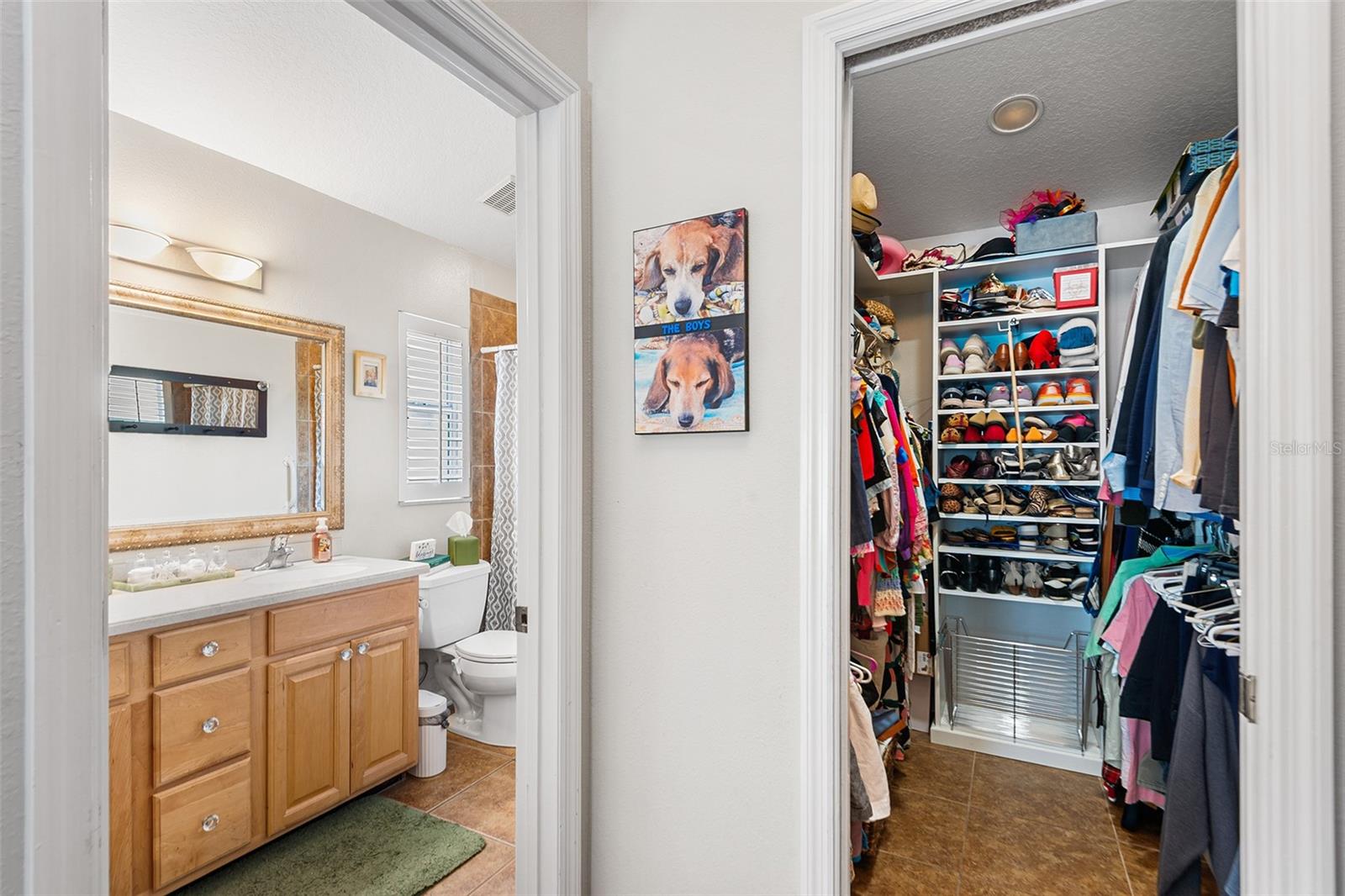 3126 SWAN LN, SAFETY HARBOR, FL, 34695