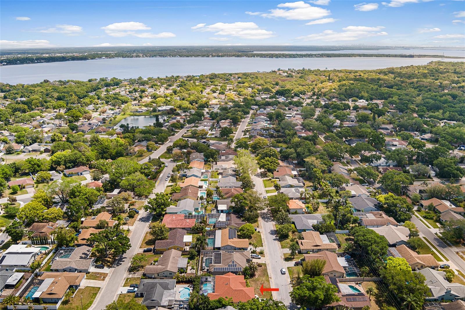 3126 SWAN LN, SAFETY HARBOR, FL, 34695