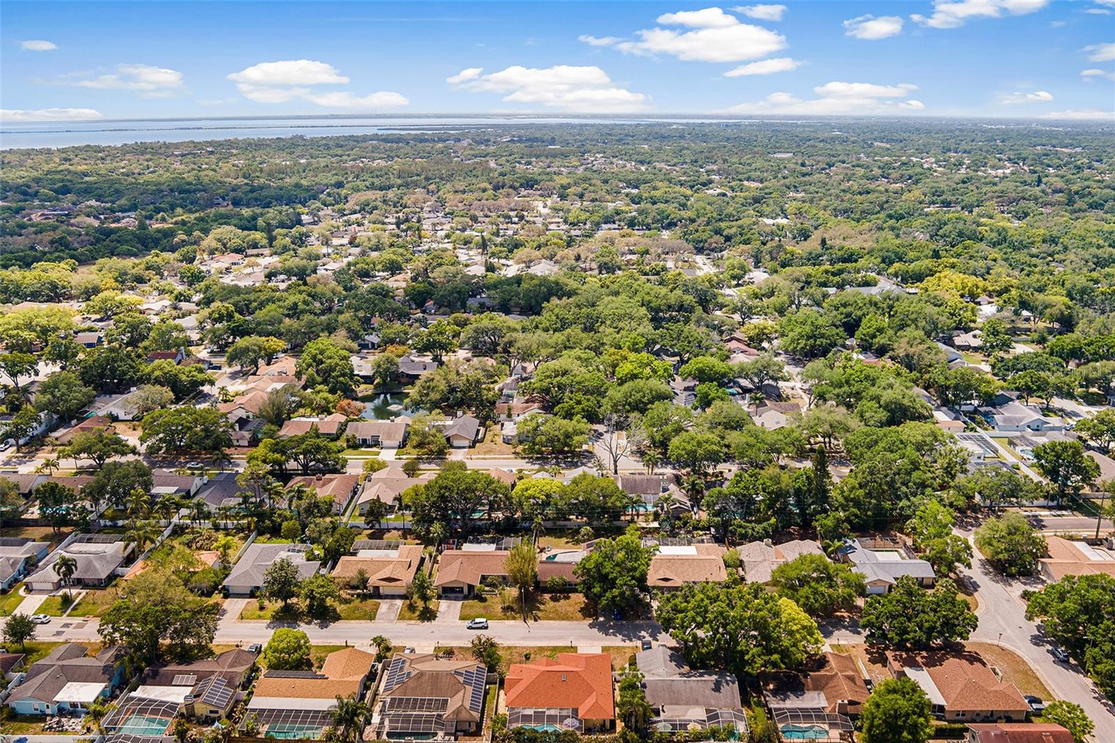 3126 SWAN LN, SAFETY HARBOR, FL, 34695