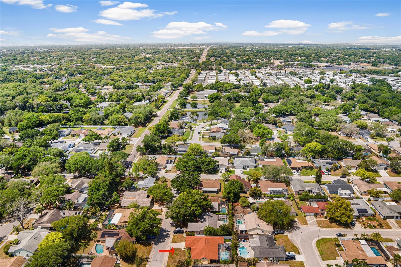3126 SWAN LN, SAFETY HARBOR, FL, 34695