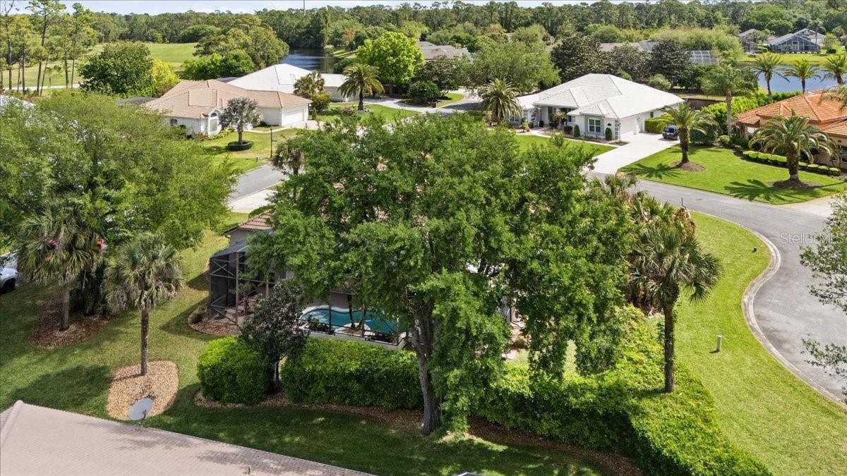 800 ARBOR GLEN CT, ORMOND BEACH, FL, 32174