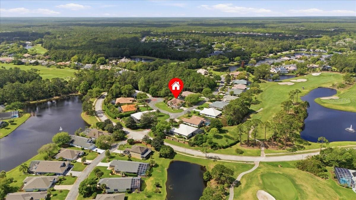 800 ARBOR GLEN CT, ORMOND BEACH, FL, 32174