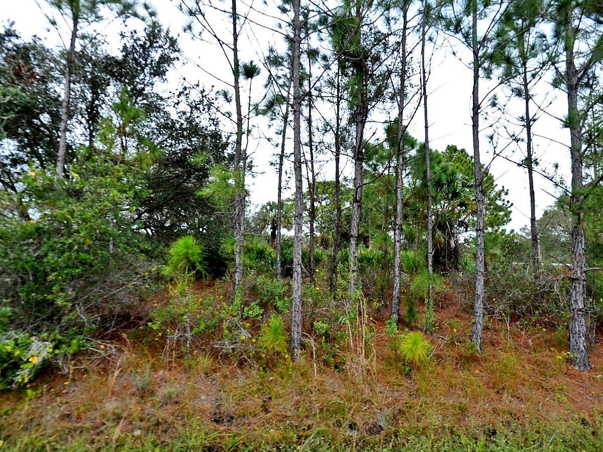 LOFFREDA LOT #8 AVE, NORTH PORT, FL, 34291