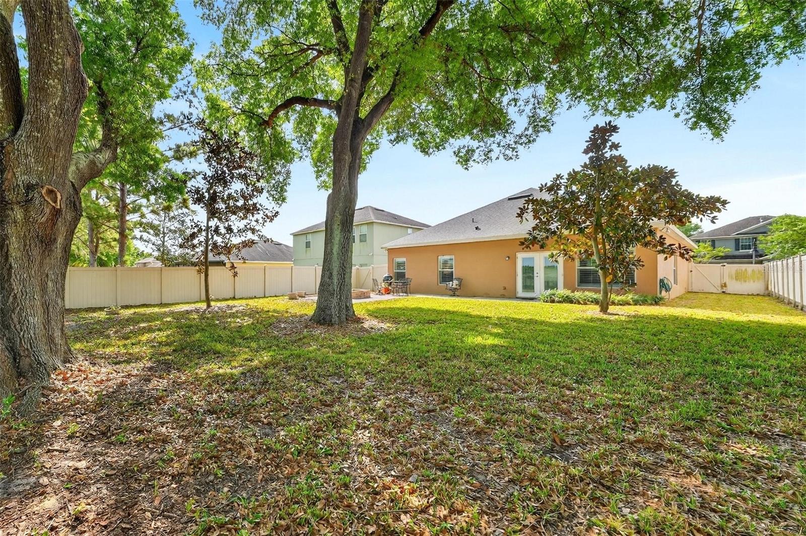 30224 CHEVAL ST, MOUNT DORA, FL, 32757