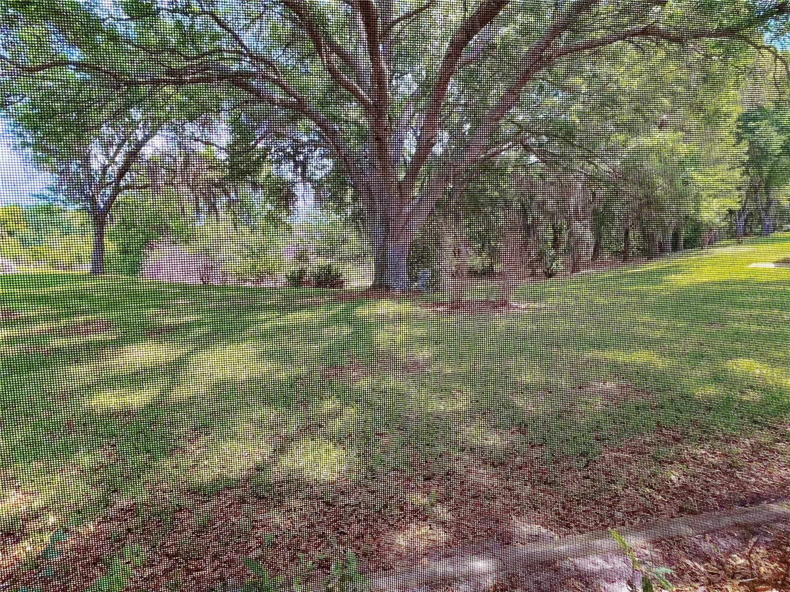 6042 WADE ST, LEESBURG, FL, 34748