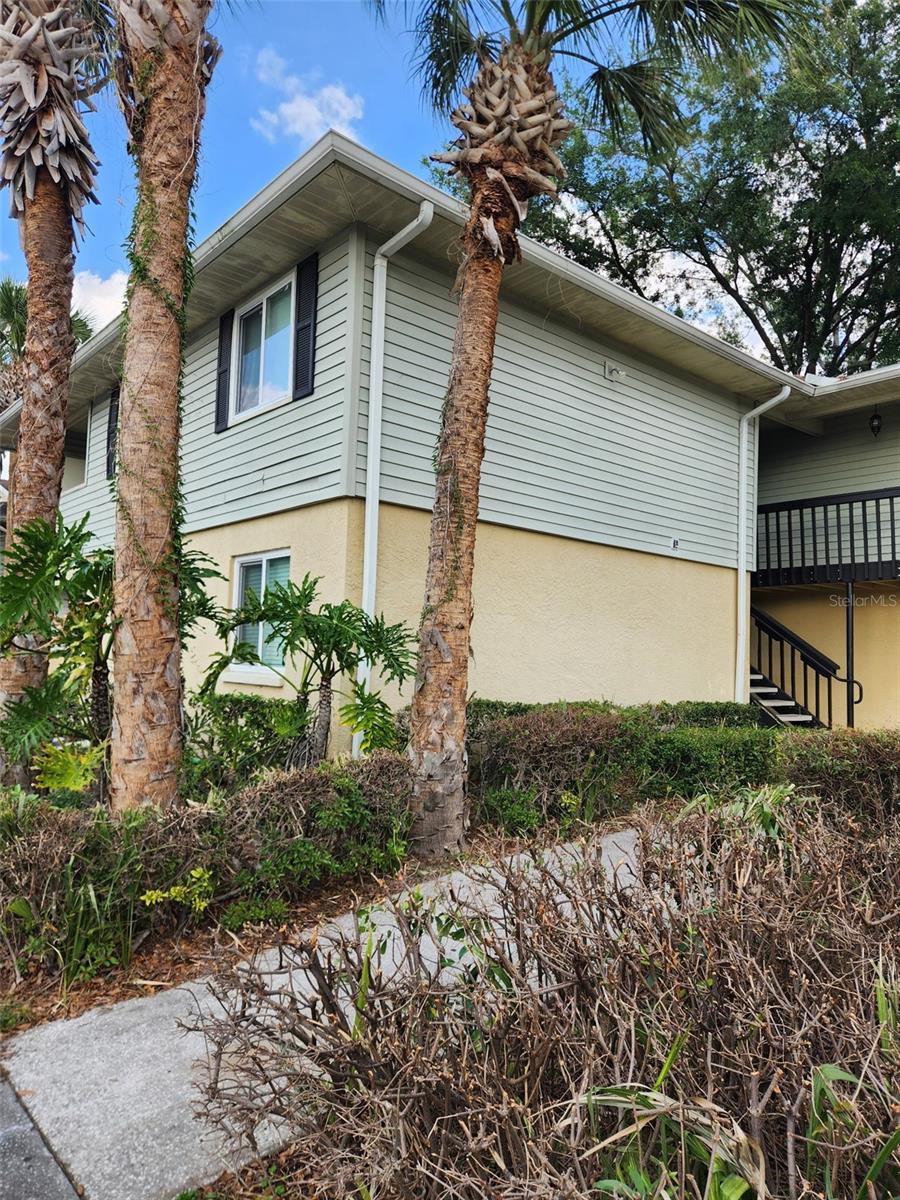 211 THORN TREE PL, BRANDON, FL, 33510