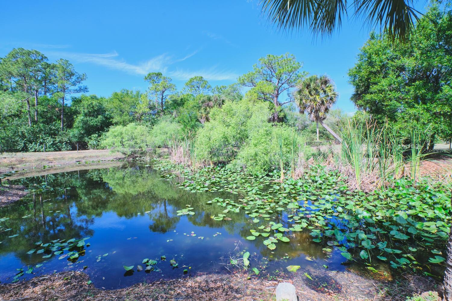 710 & 740 EVANS RD, LABELLE, FL, 33935