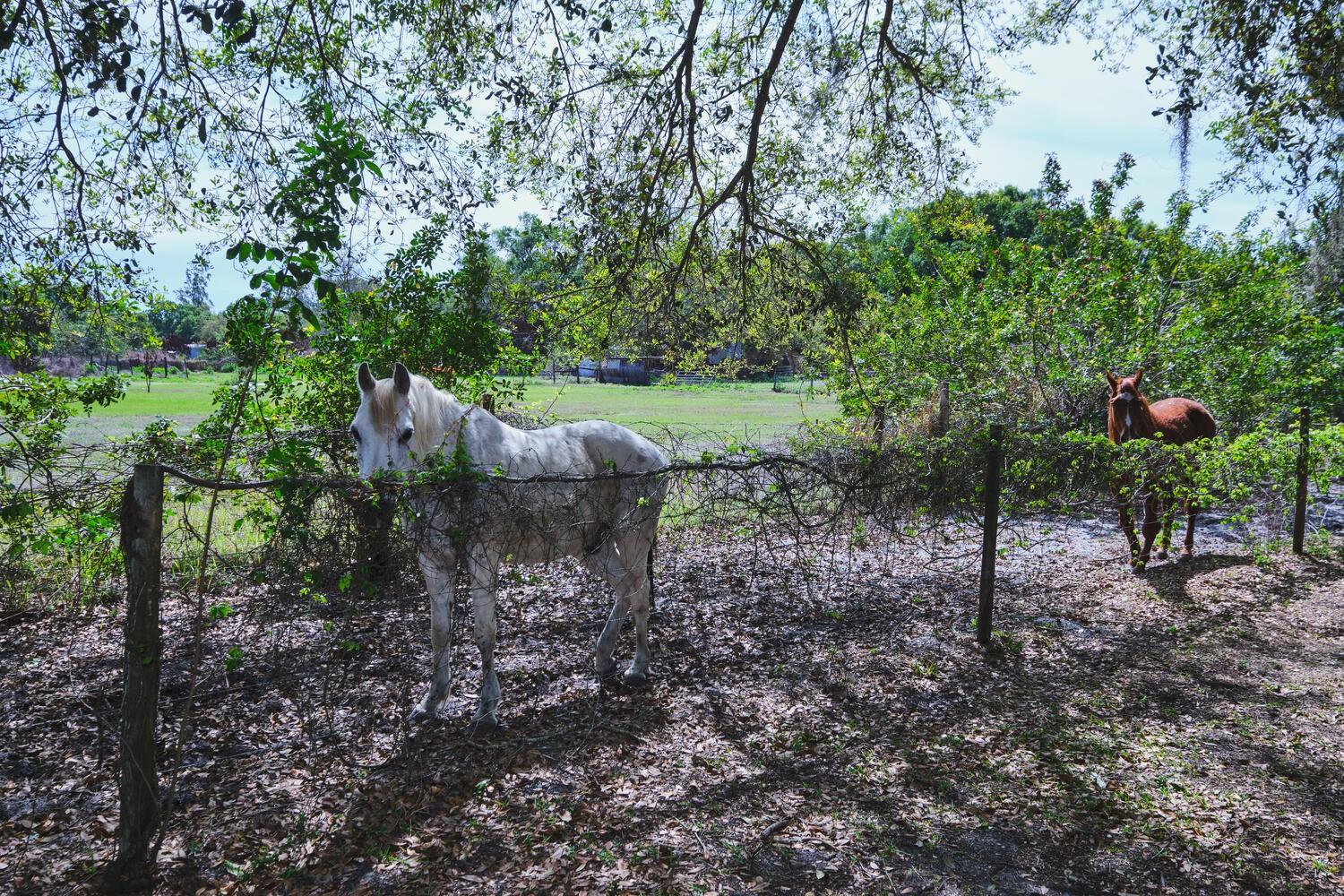 710 & 740 EVANS RD, LABELLE, FL, 33935