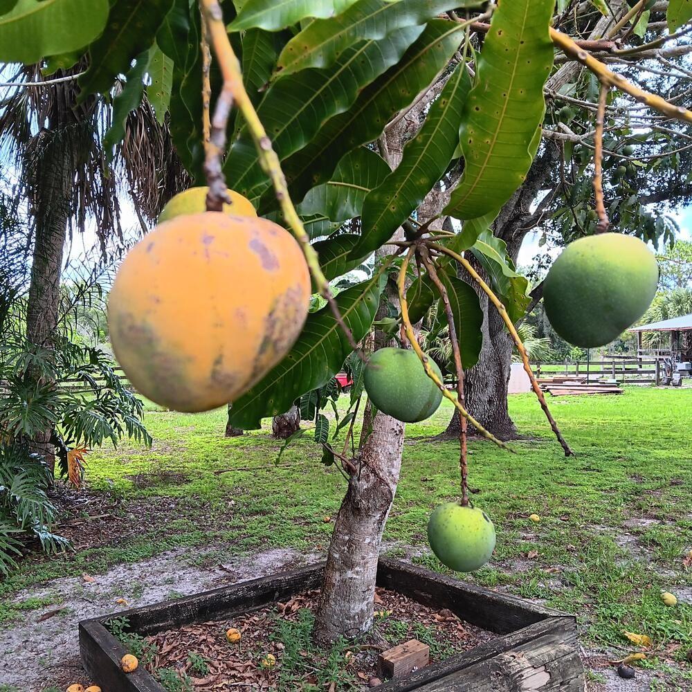 710 & 740 EVANS RD, LABELLE, FL, 33935
