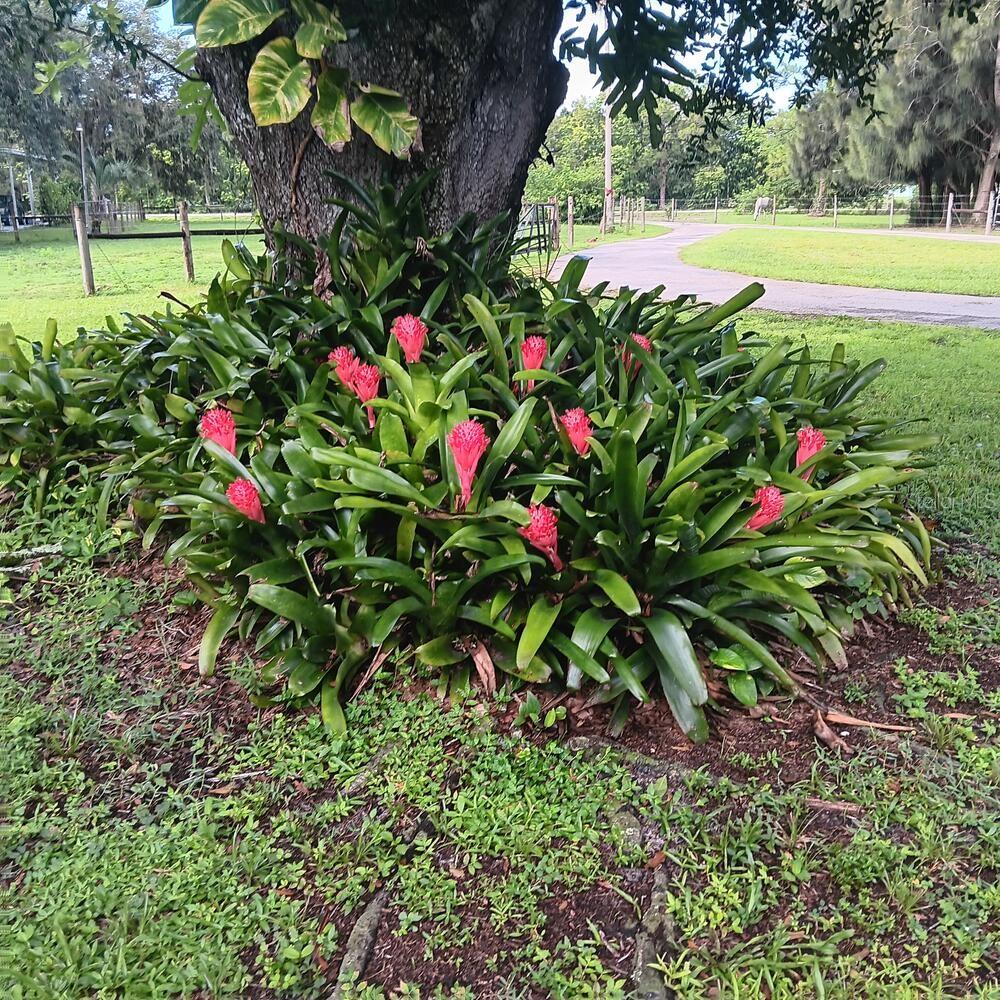 710 & 740 EVANS RD, LABELLE, FL, 33935