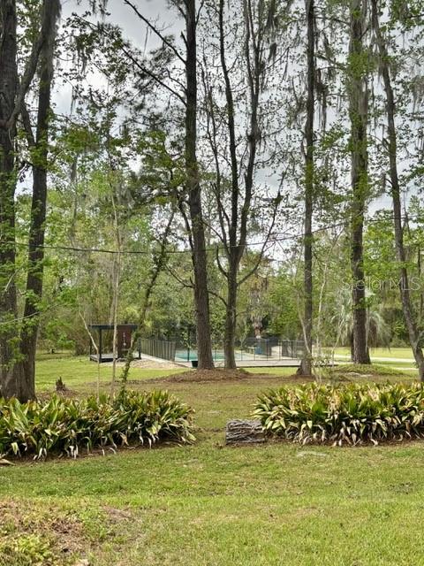 18917 NW COUNTY ROAD 239, ALACHUA, FL, 32615