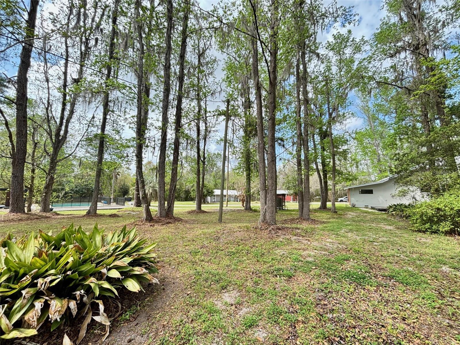 18917 NW COUNTY ROAD 239, ALACHUA, FL, 32615
