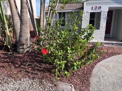 129 94TH AVE, TREASURE ISLAND, FL, 33706