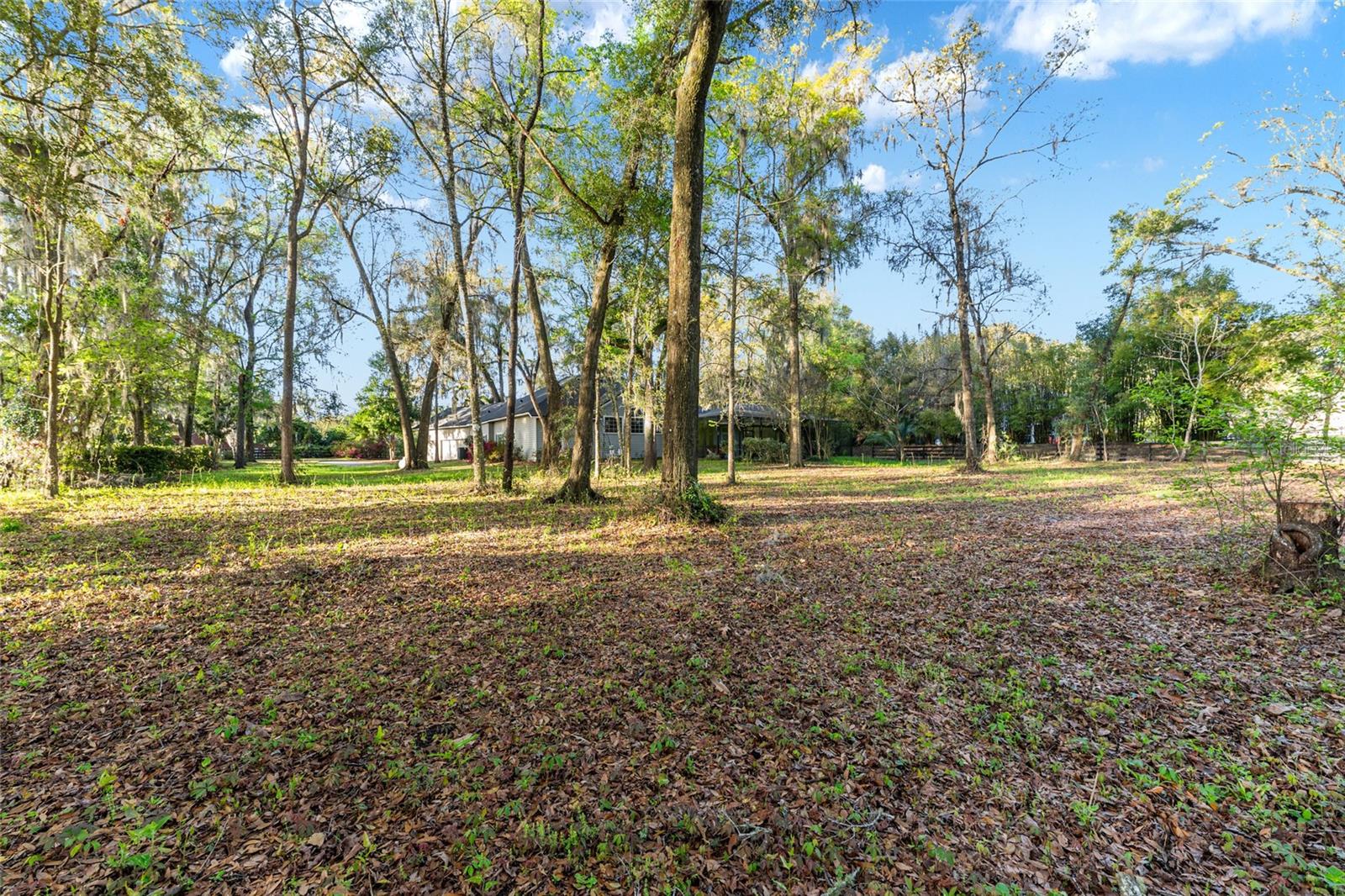 14312 NW 41ST AVE, NEWBERRY, FL, 32669