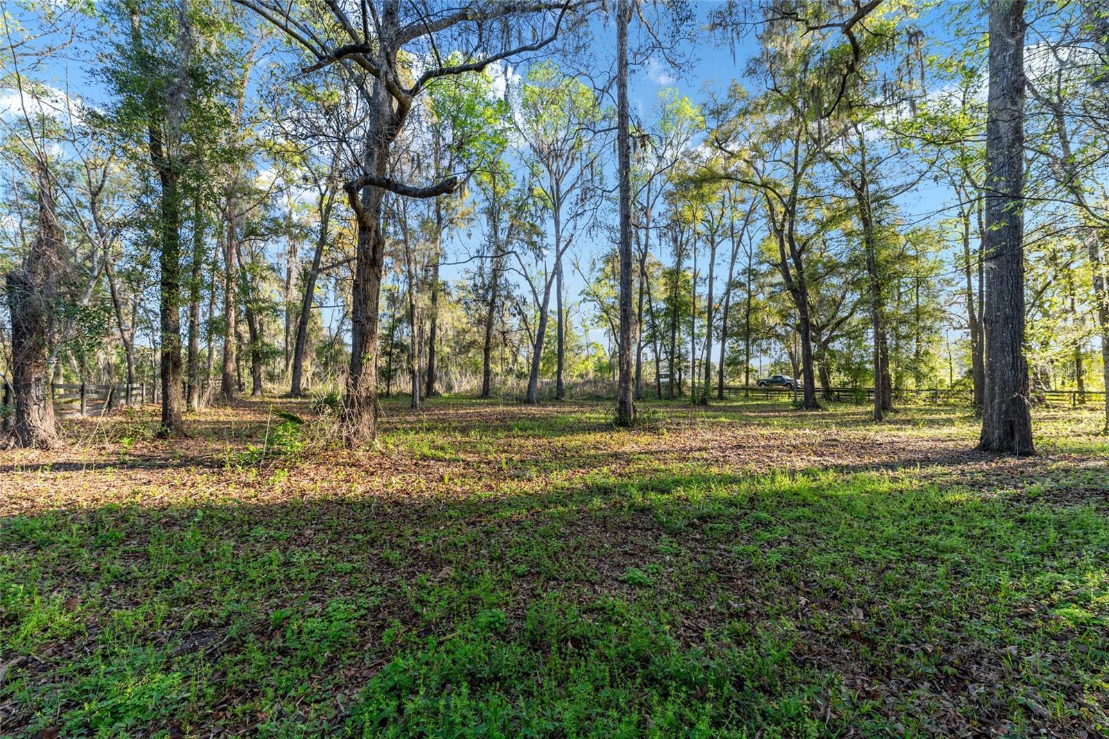 14312 NW 41ST AVE, NEWBERRY, FL, 32669
