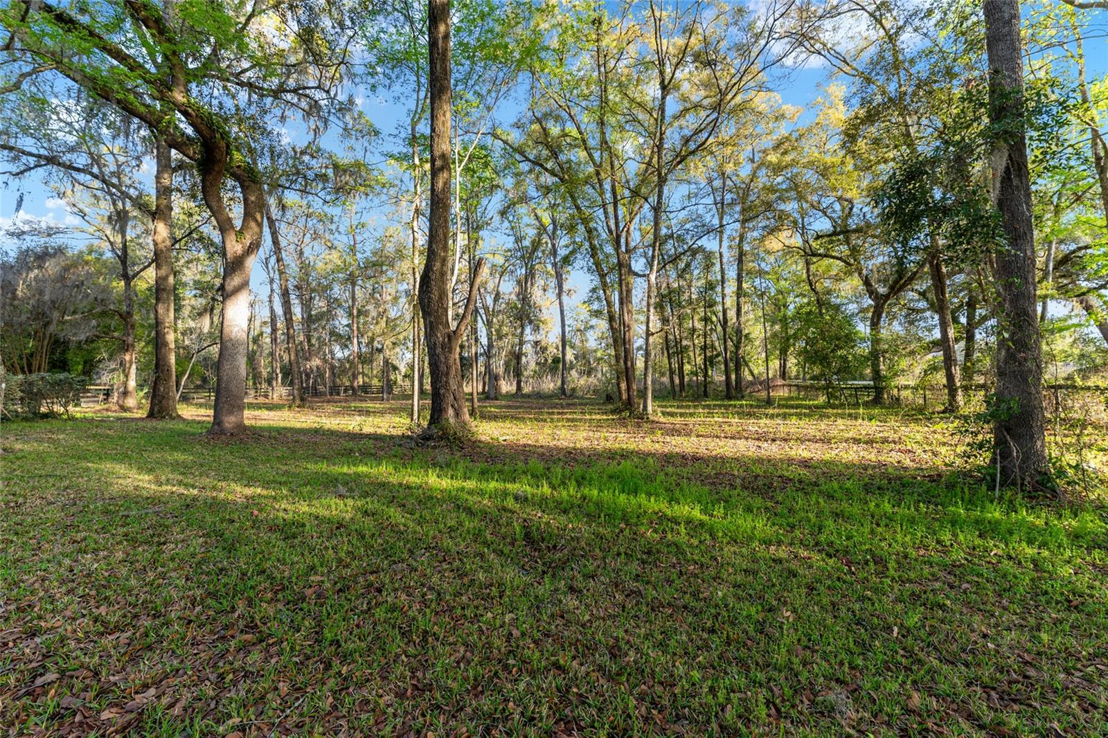 14312 NW 41ST AVE, NEWBERRY, FL, 32669