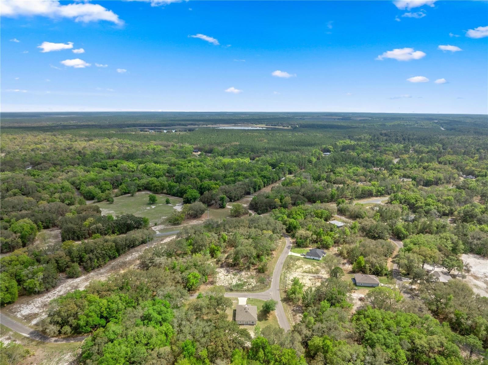 2 MAGNOLIA PASS TRCE, OCKLAWAHA, FL, 32179