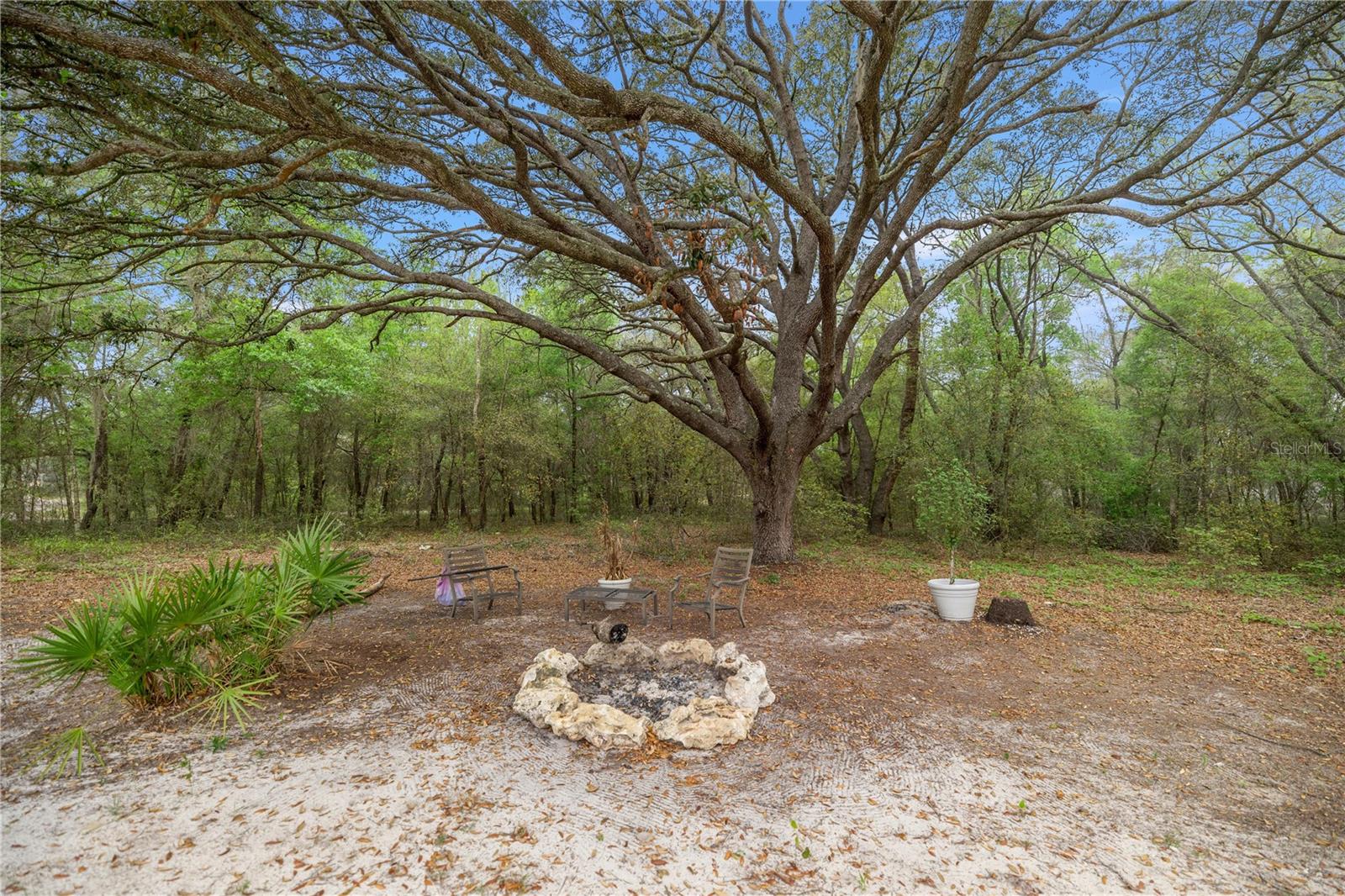 2 MAGNOLIA PASS TRCE, OCKLAWAHA, FL, 32179