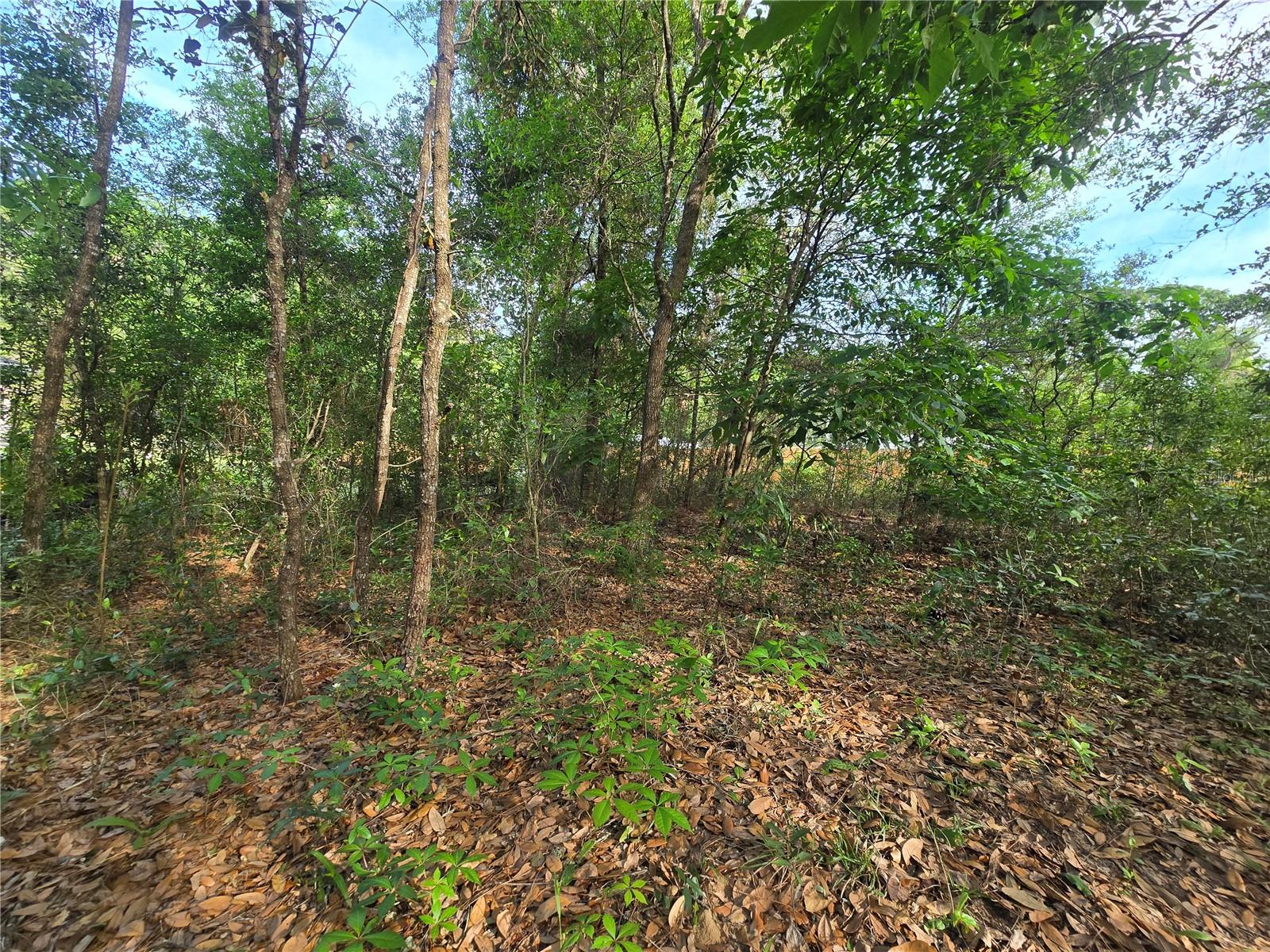 6659 E GRAYSON ST, INVERNESS, FL, 34452