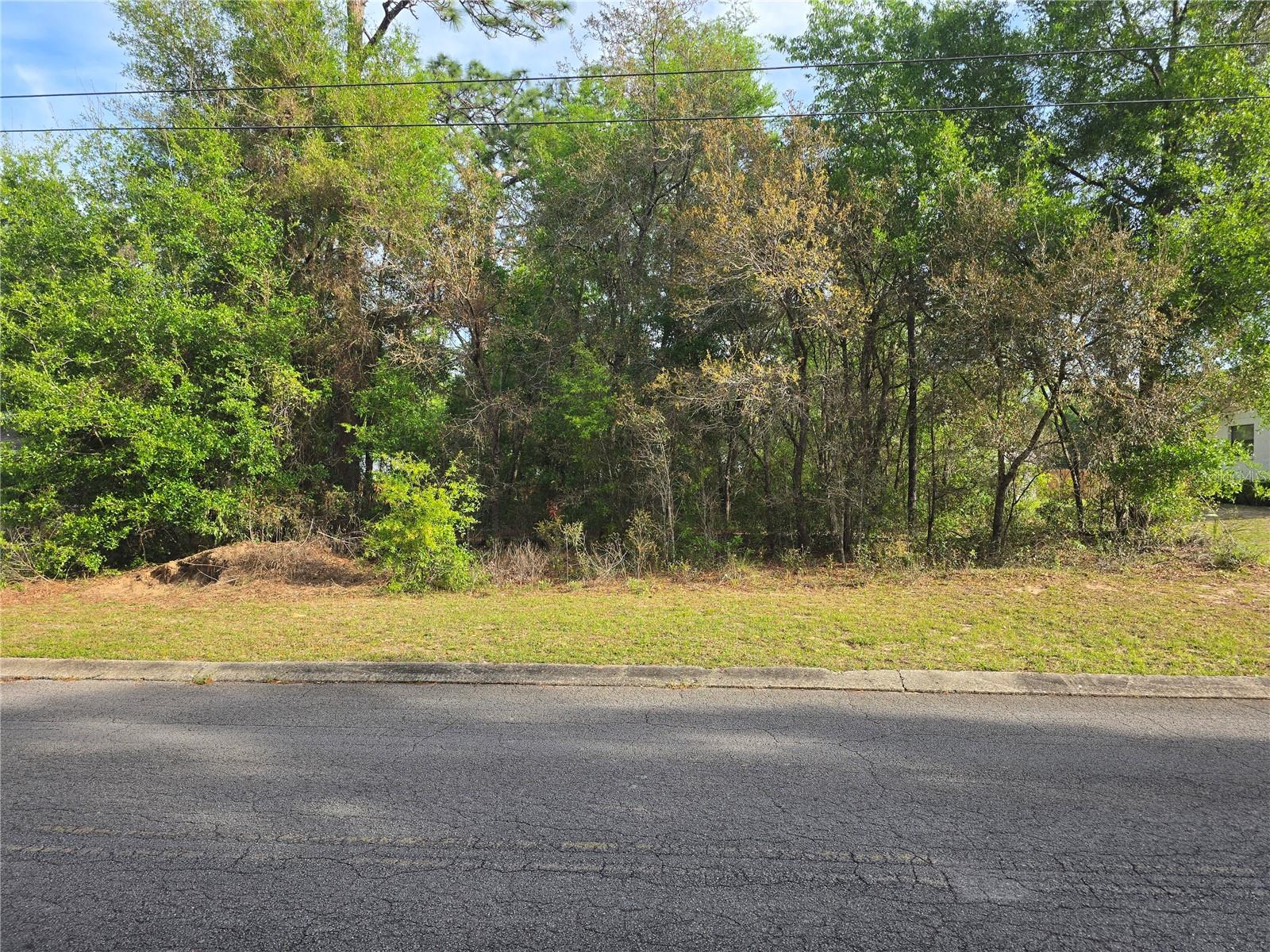6659 E GRAYSON ST, INVERNESS, FL, 34452