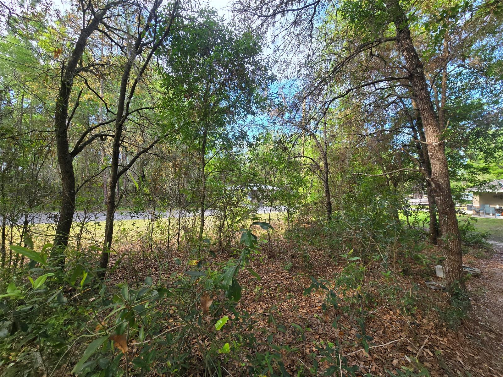 6659 E GRAYSON ST, INVERNESS, FL, 34452