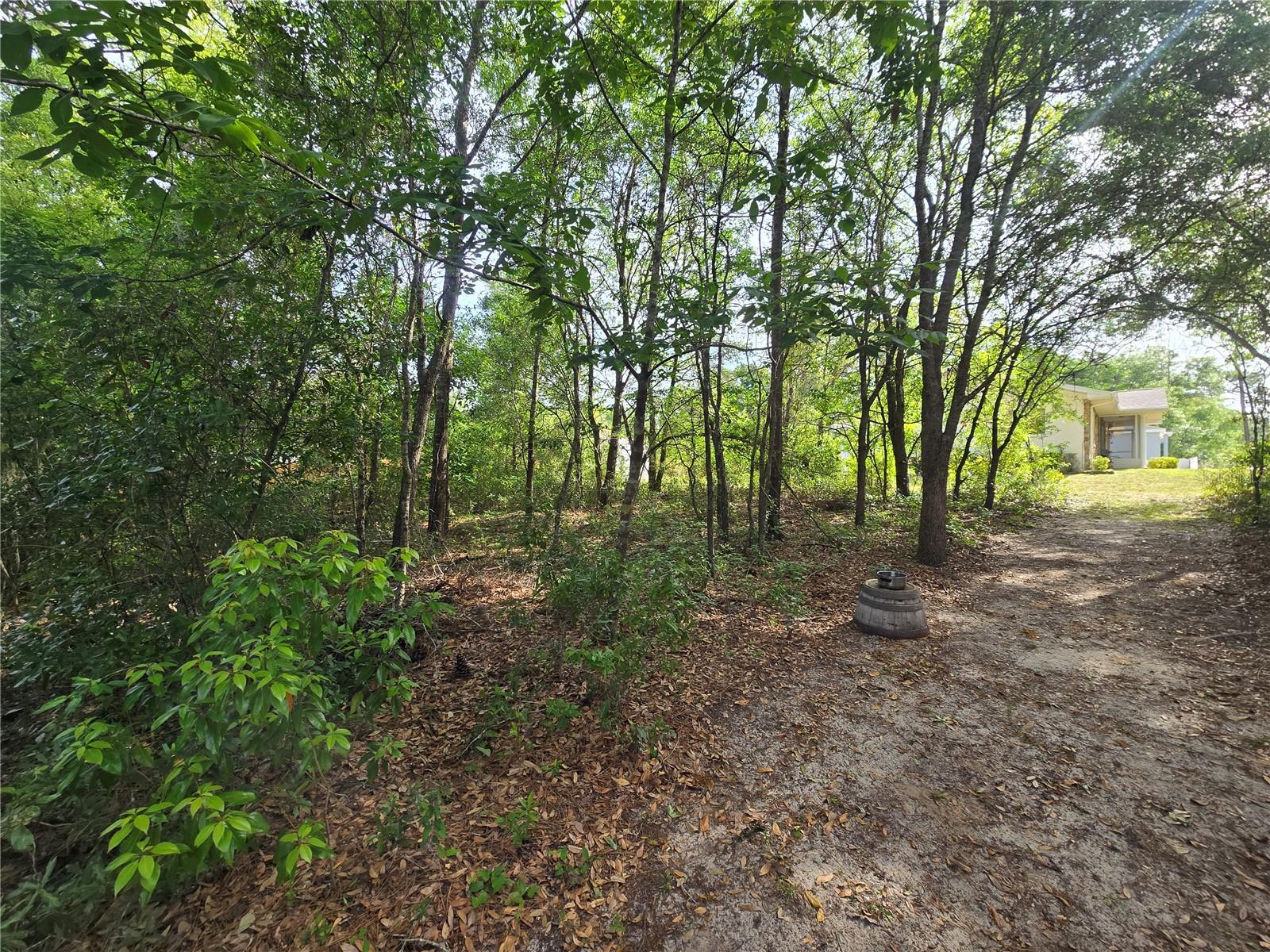 6659 E GRAYSON ST, INVERNESS, FL, 34452