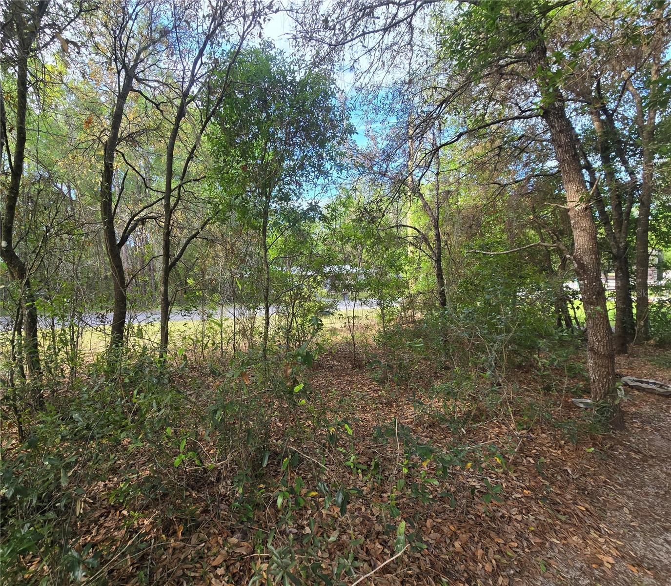 6659 E GRAYSON ST, INVERNESS, FL, 34452