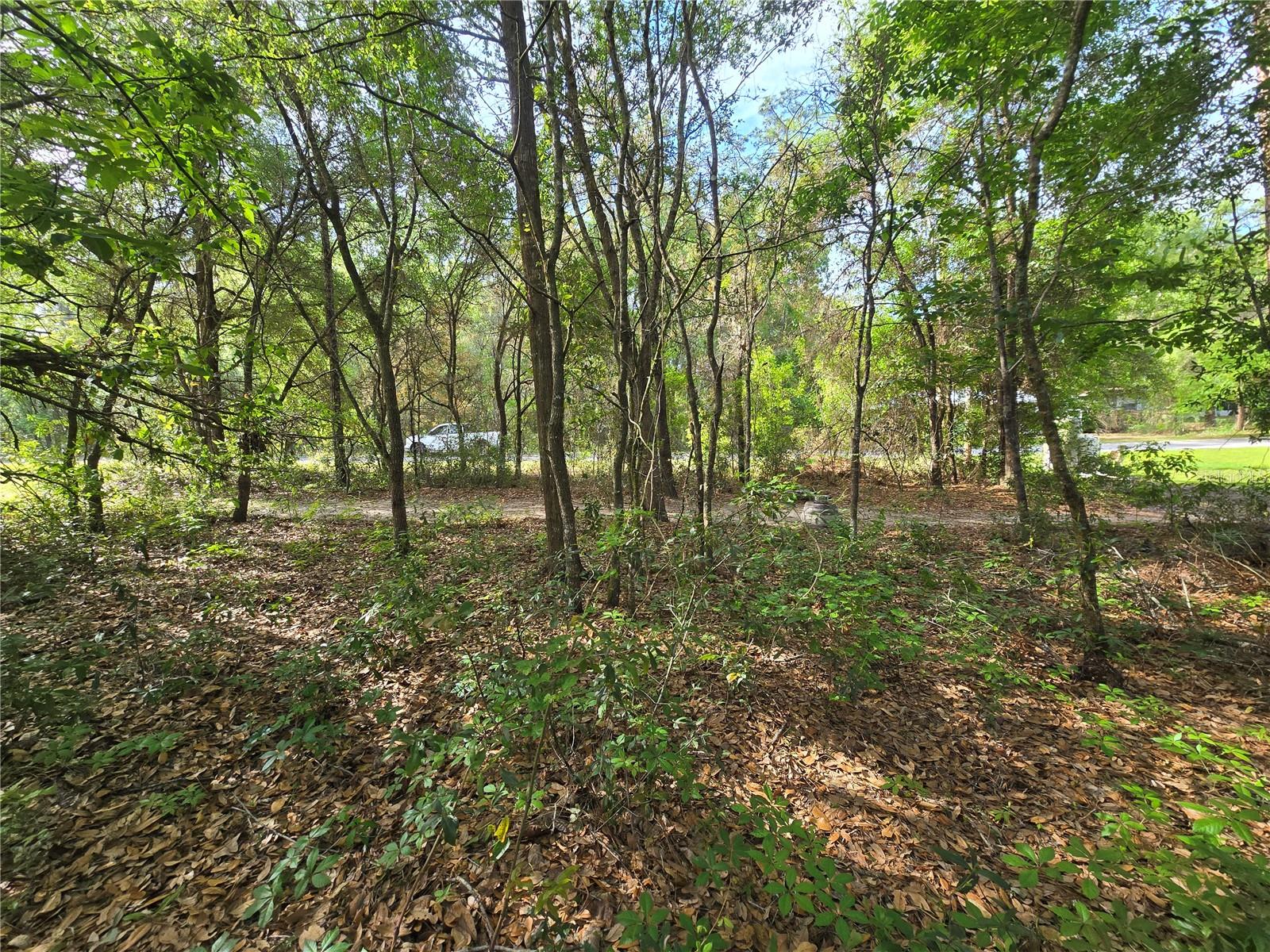 6659 E GRAYSON ST, INVERNESS, FL, 34452