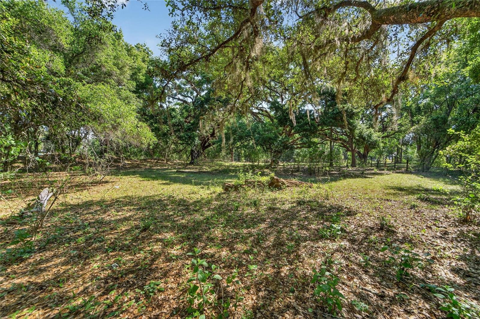 CARLTON RD, PLANT CITY, FL, 33565
