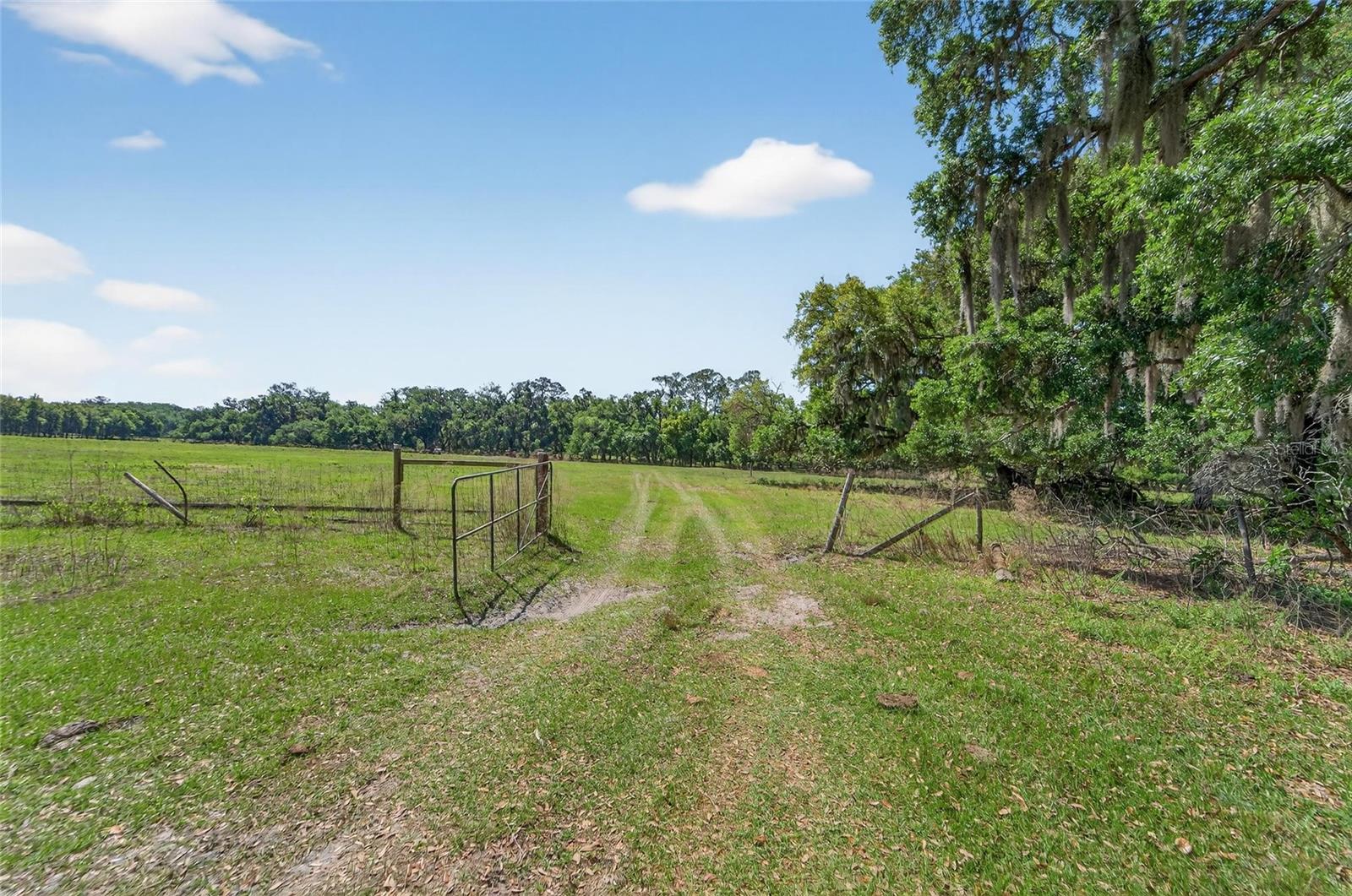 CARLTON RD, PLANT CITY, FL, 33565
