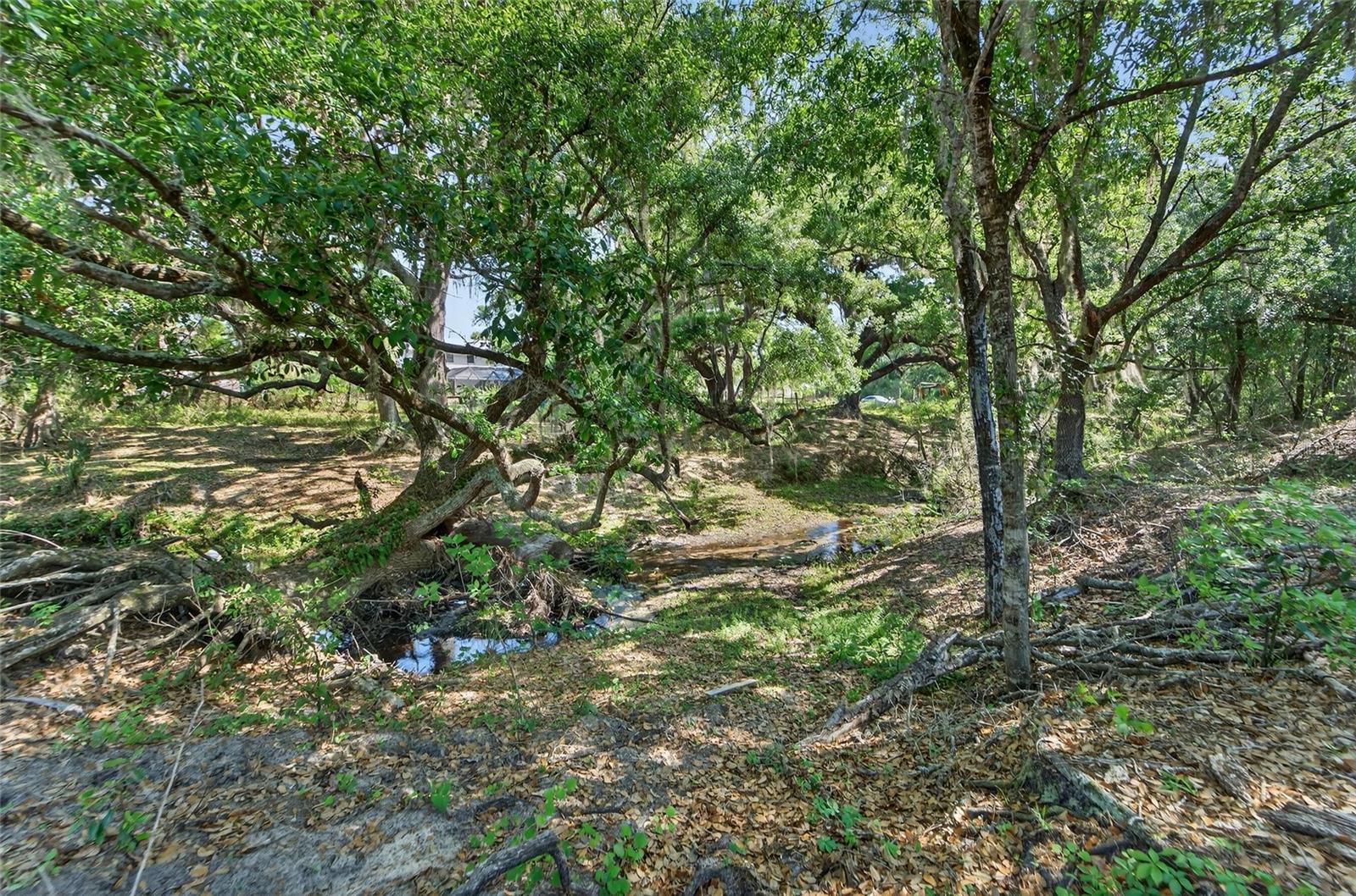 CARLTON RD, PLANT CITY, FL, 33565