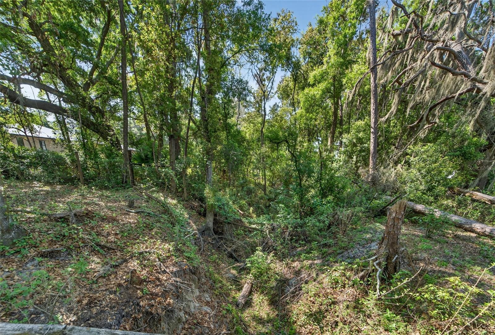 CARLTON RD, PLANT CITY, FL, 33565