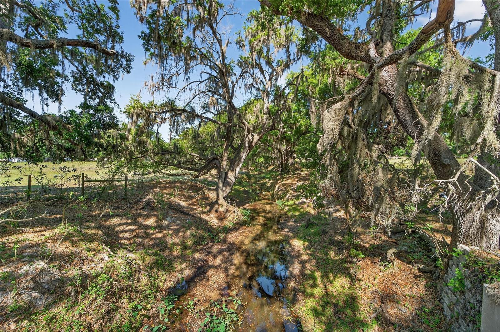 CARLTON RD, PLANT CITY, FL, 33565