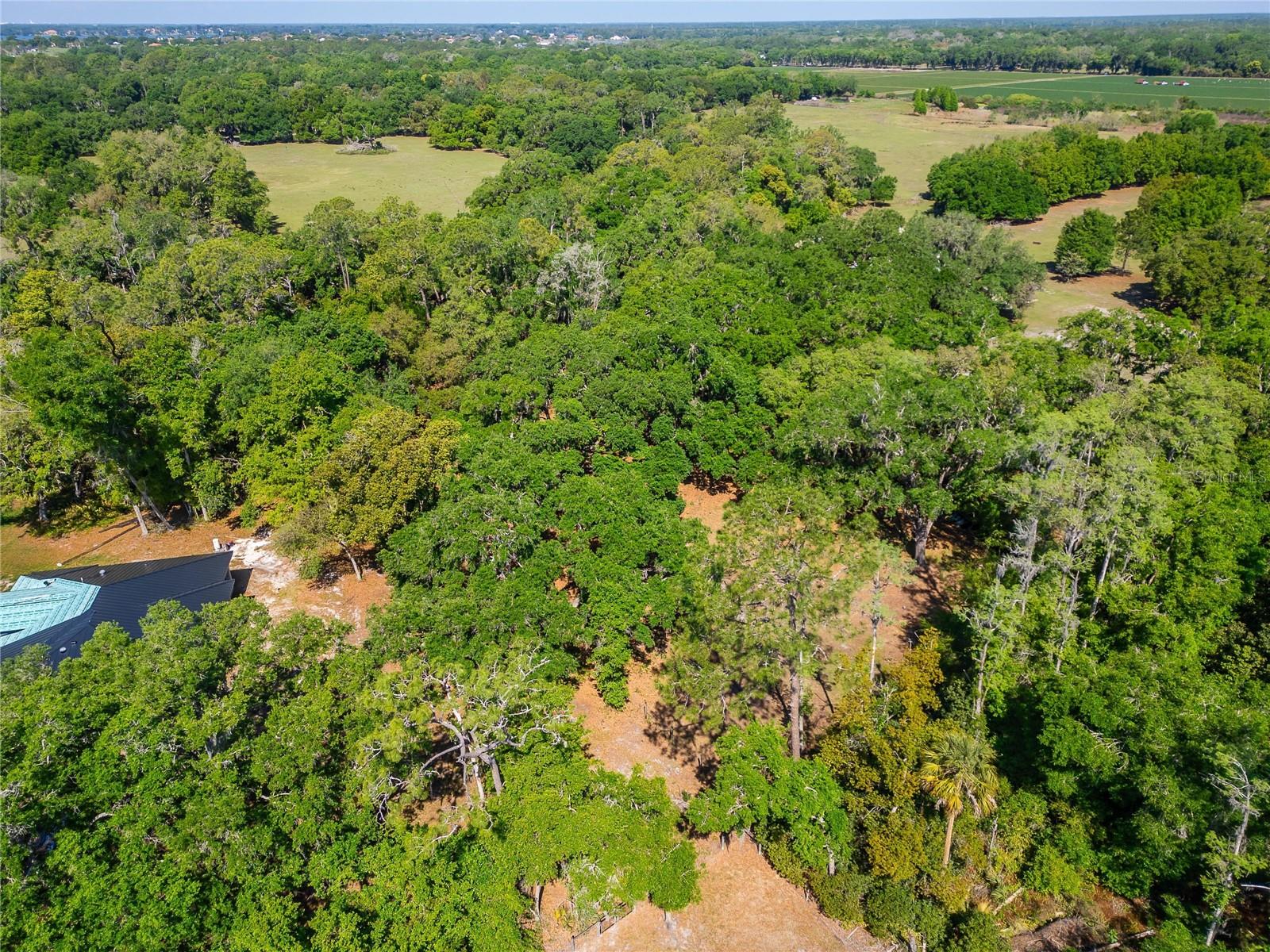 CARLTON RD, PLANT CITY, FL, 33565