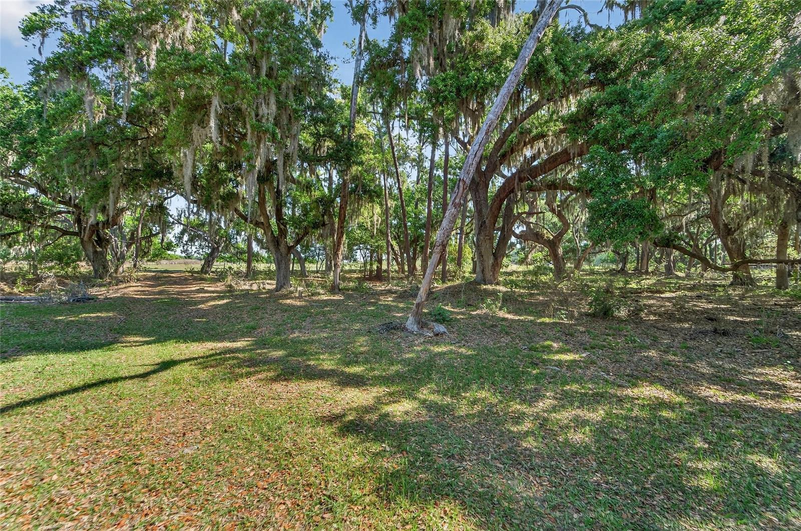 CARLTON RD, PLANT CITY, FL, 33565