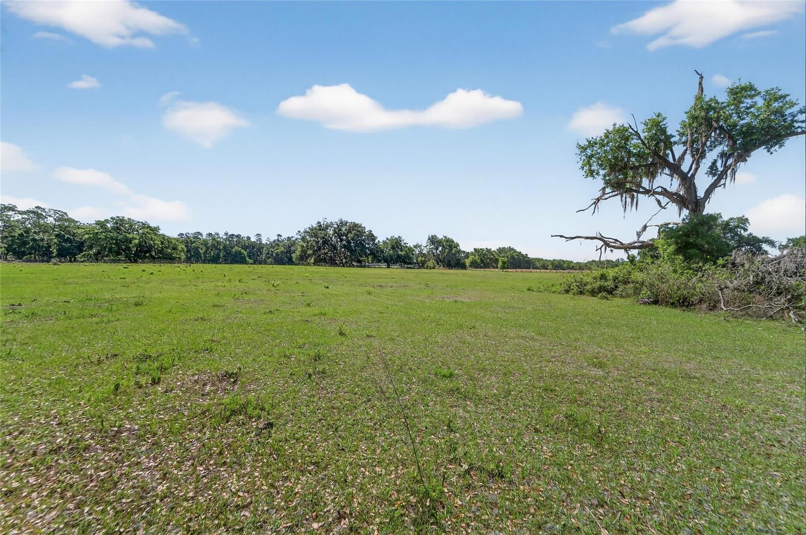 CARLTON RD, PLANT CITY, FL, 33565