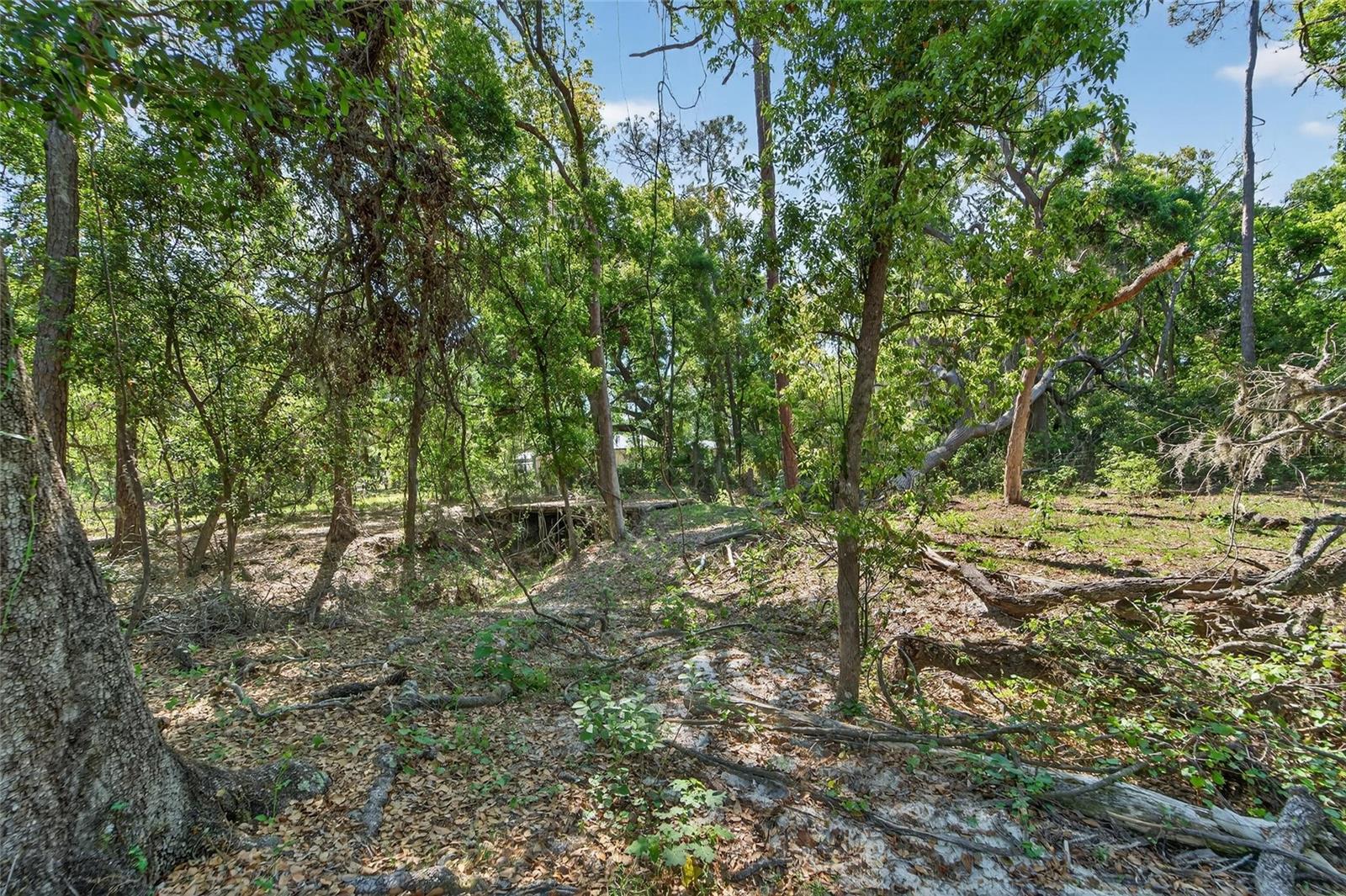 CARLTON RD, PLANT CITY, FL, 33565
