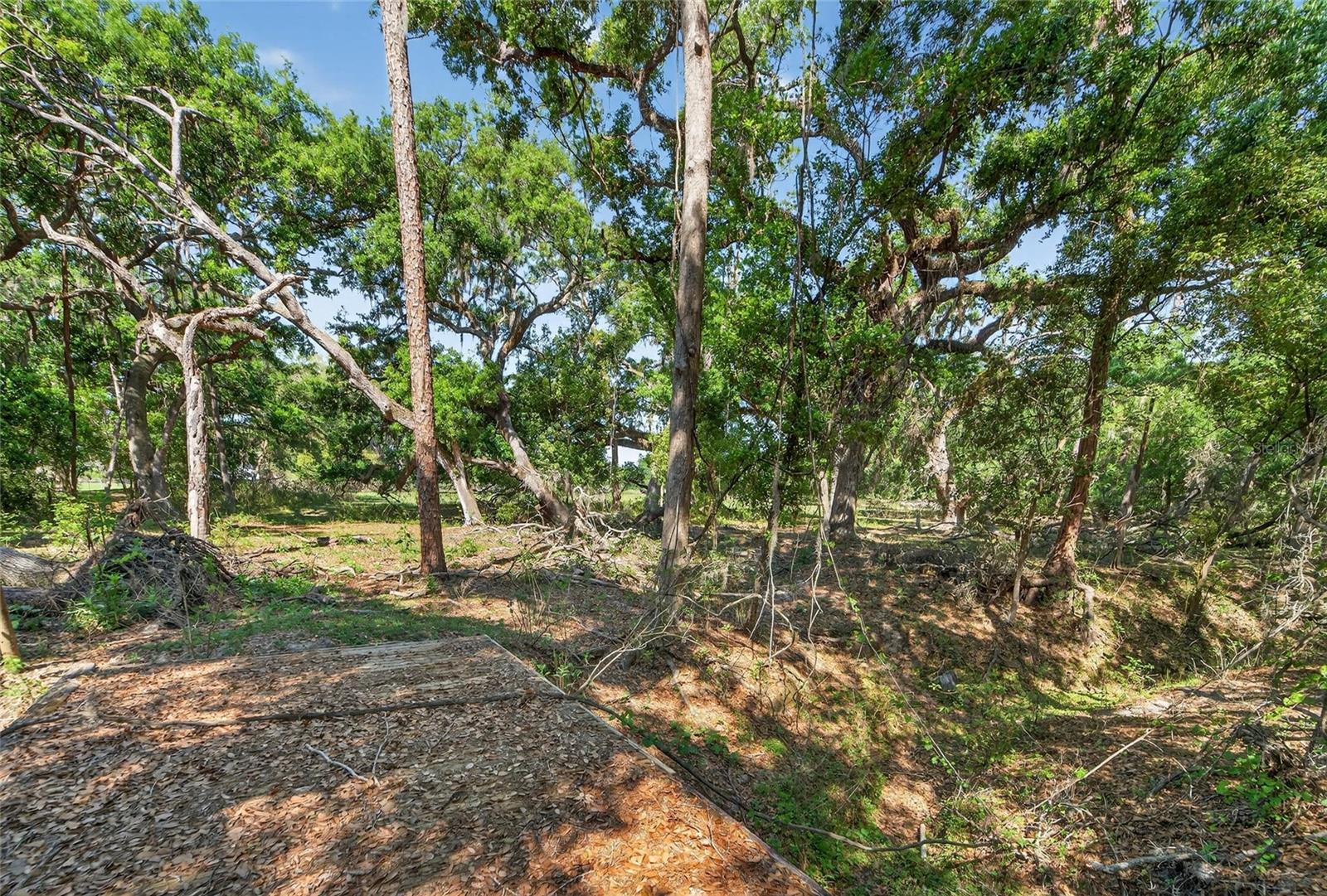 CARLTON RD, PLANT CITY, FL, 33565