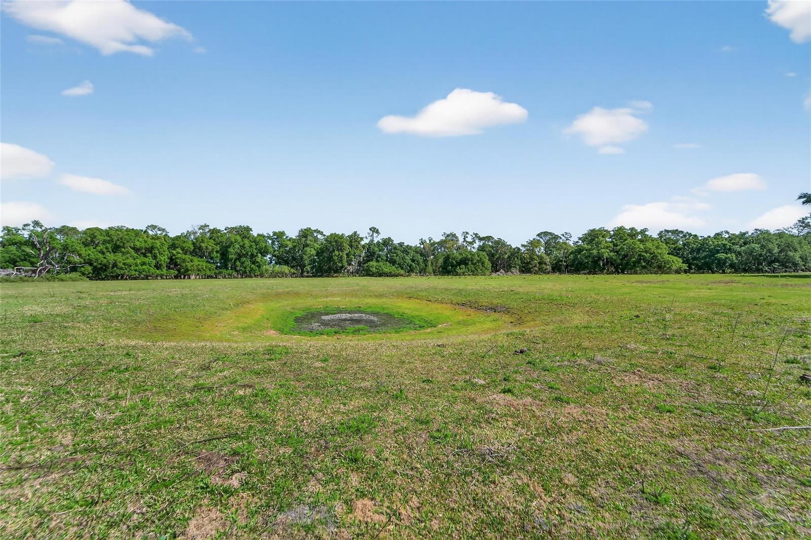 CARLTON RD, PLANT CITY, FL, 33565