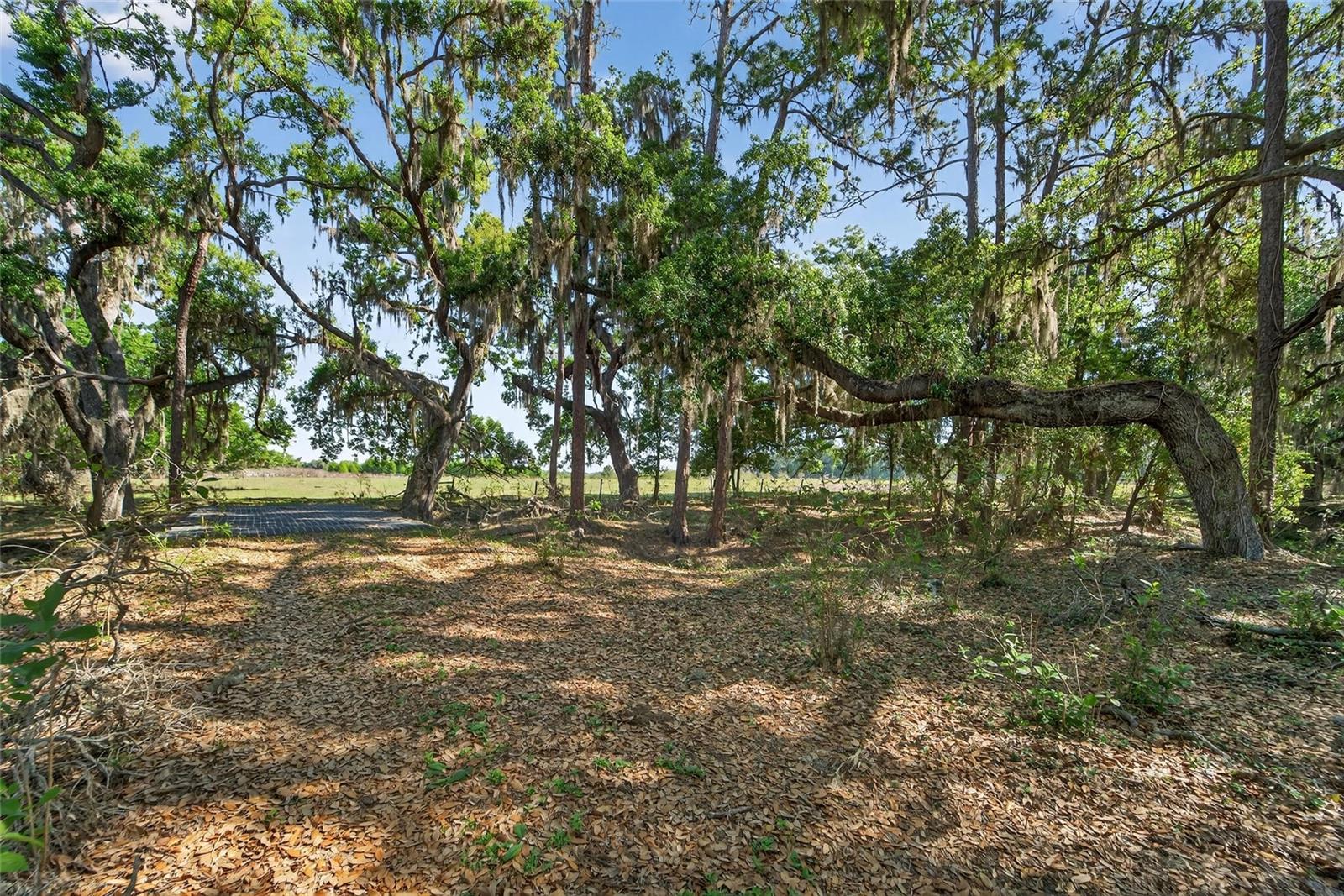 CARLTON RD, PLANT CITY, FL, 33565